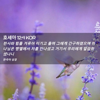 Picture 02 - 호세아 12:4 KOR - 천사와 힘을 겨루어 이기고 울며 - Bible Verse Picture