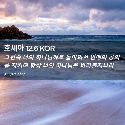 Picture 02 - 호세아 12:6 KOR - 그런즉 너의 하나님께로 돌아와서 - Bible Verse Picture