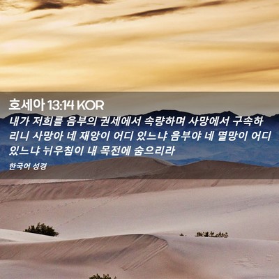 Picture 02 - 호세아 13:14 KOR - 내가 저희를 음부의 권세에서 - Bible Verse Picture