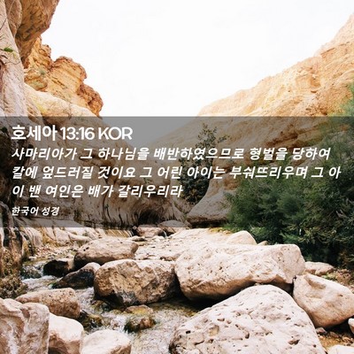 Picture 02 - 호세아 13:16 KOR - 사마리아가 그 하나님을 - Bible Verse Picture