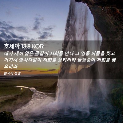 Picture 02 - 호세아 13:8 KOR - 내가 새끼 잃은 곰같이 저희를 만나 - Bible Verse Picture