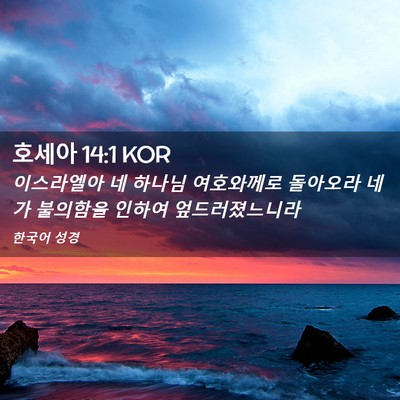 Picture 02 - 호세아 14:1 KOR - 이스라엘아 네 하나님 여호와께로 - Bible Verse Picture