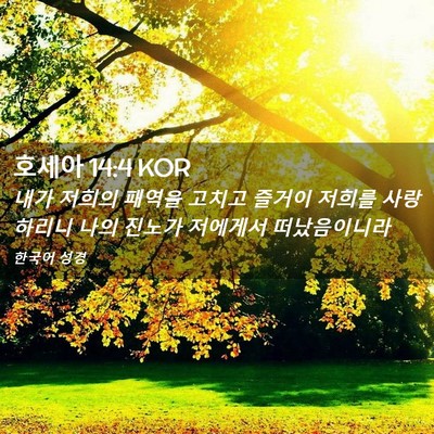 Picture 02 - 호세아 14:4 KOR - 내가 저희의 패역을 고치고 즐거이 - Bible Verse Picture
