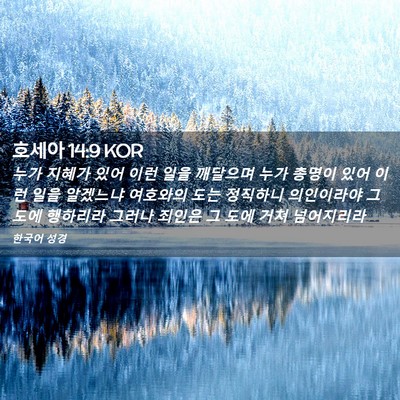 Picture 02 - 호세아 14:9 KOR - 누가 지혜가 있어 이런 일을 - Bible Verse Picture