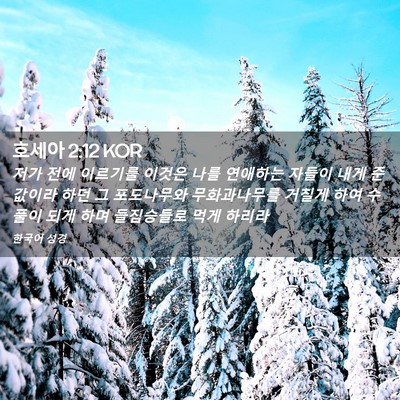 Picture 02 - 호세아 2:12 KOR - 저가 전에 이르기를 이것은 나를 - Bible Verse Picture