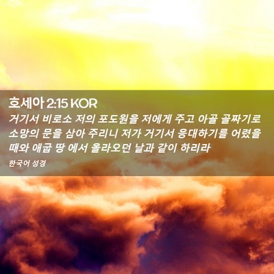 Picture 02 - 호세아 2:15 KOR - 거기서 비로소 저의 포도원을 저에게 - Bible Verse Picture
