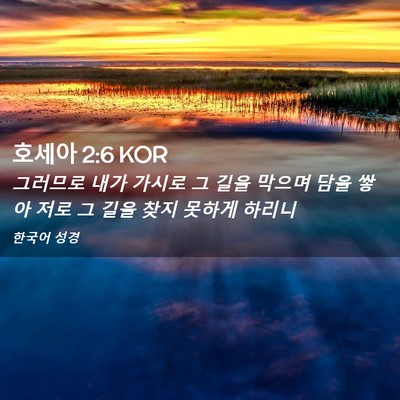 Picture 02 - 호세아 2:6 KOR - 그러므로 내가 가시로 그 길을 - Bible Verse Picture