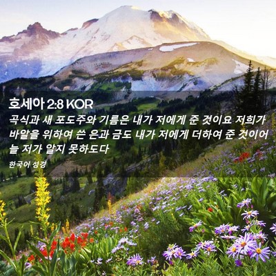 Picture 02 - 호세아 2:8 KOR - 곡식과 새 포도주와 기름은 내가 - Bible Verse Picture