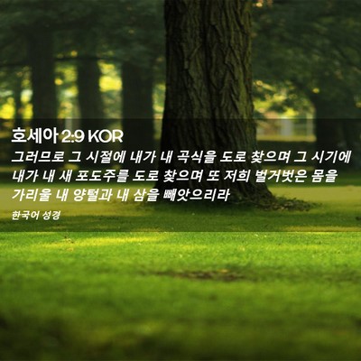 Picture 02 - 호세아 2:9 KOR - 그러므로 그 시절에 내가 내 곡식을 - Bible Verse Picture