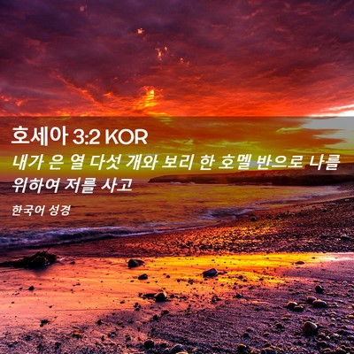 Picture 02 - 호세아 3:2 KOR - 내가 은 열 다섯 개와 보리 한 호멜 - Bible Verse Picture