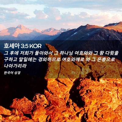 Picture 02 - 호세아 3:5 KOR - 그 후에 저희가 돌아와서 그 하나님 - Bible Verse Picture