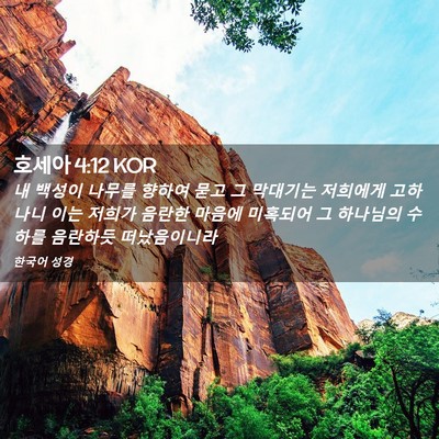 Picture 02 - 호세아 4:12 KOR - 내 백성이 나무를 향하여 묻고 그 - Bible Verse Picture