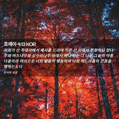 Picture 02 - 호세아 4:13 KOR - 저희가 산 꼭대기에서 제사를 드리며 - Bible Verse Picture