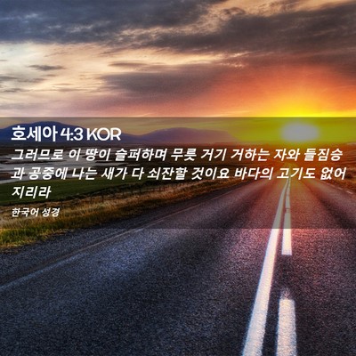 Picture 02 - 호세아 4:3 KOR - 그러므로 이 땅이 슬퍼하며 무릇 - Bible Verse Picture