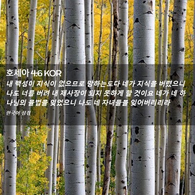 Picture 02 - 호세아 4:6 KOR - 내 백성이 지식이 없으므로 - Bible Verse Picture