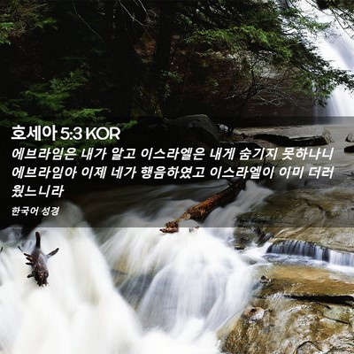 Picture 02 - 호세아 5:3 KOR - 에브라임은 내가 알고 이스라엘은 - Bible Verse Picture