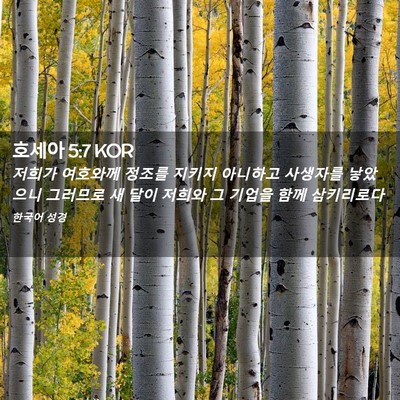Picture 02 - 호세아 5:7 KOR - 저희가 여호와께 정조를 지키지 - Bible Verse Picture