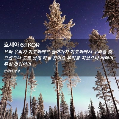 Picture 02 - 호세아 6:1 KOR - 오라 우리가 여호와께로 돌아가자 - Bible Verse Picture