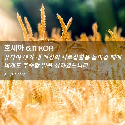 Picture 02 - 호세아 6:11 KOR - 유다여 내가 내 백성의 사로잡힘을 - Bible Verse Picture