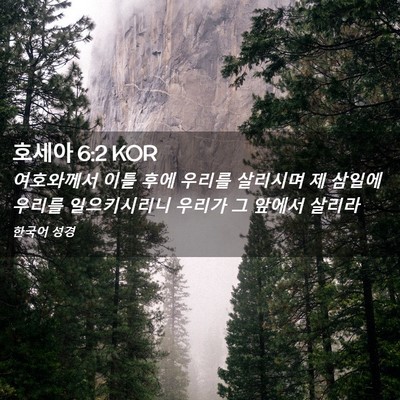 Picture 02 - 호세아 6:2 KOR - 여호와께서 이틀 후에 우리를 - Bible Verse Picture