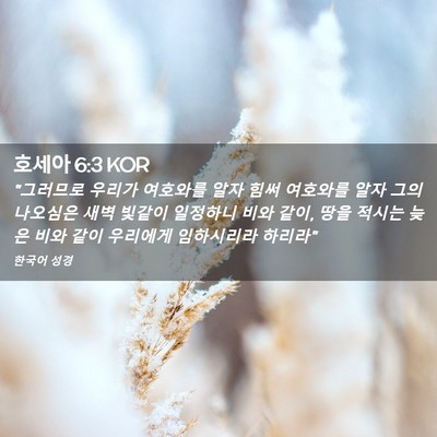 Picture 02 - 호세아 6:3 KOR - 
