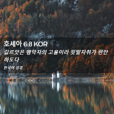 Picture 02 - 호세아 6:8 KOR - 길르앗은 행악자의 고을이라 - Bible Verse Picture