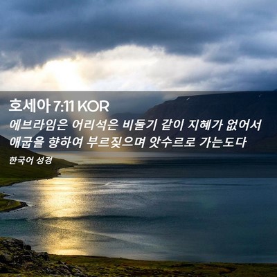 Picture 02 - 호세아 7:11 KOR - 에브라임은 어리석은 비둘기 같이 - Bible Verse Picture