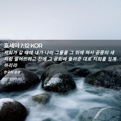 Picture 02 - 호세아 7:12 KOR - 저희가 갈 때에 내가 나의 그물을 그 - Bible Verse Picture