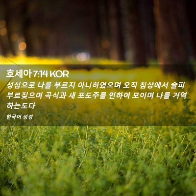 Picture 02 - 호세아 7:14 KOR - 성심으로 나를 부르지 아니하였으며 - Bible Verse Picture