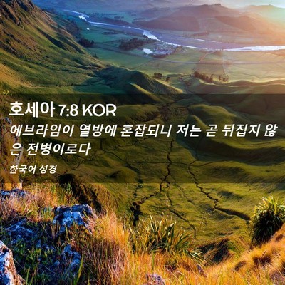 Picture 02 - 호세아 7:8 KOR - 에브라임이 열방에 혼잡되니 저는 곧 - Bible Verse Picture