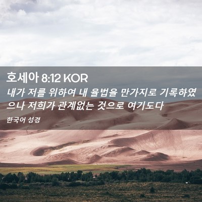 Picture 02 - 호세아 8:12 KOR - 내가 저를 위하여 내 율법을 - Bible Verse Picture