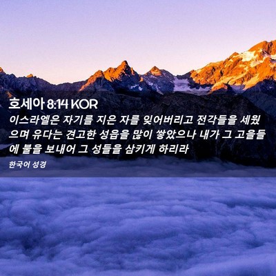 Picture 02 - 호세아 8:14 KOR - 이스라엘은 자기를 지은 자를 - Bible Verse Picture