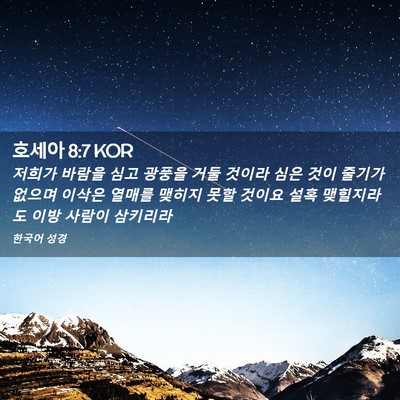 Picture 02 - 호세아 8:7 KOR - 저희가 바람을 심고 광풍을 거둘 - Bible Verse Picture