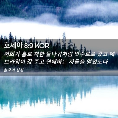 Picture 02 - 호세아 8:9 KOR - 저희가 홀로 처한 들나귀처럼 - Bible Verse Picture