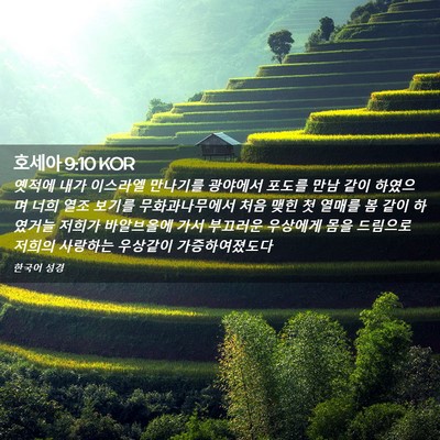 Picture 02 - 호세아 9:10 KOR - 옛적에 내가 이스라엘 만나기를 - Bible Verse Picture