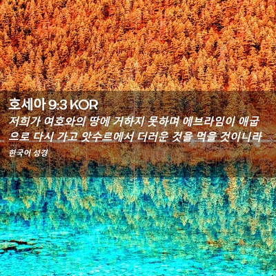 Picture 02 - 호세아 9:3 KOR - 저희가 여호와의 땅에 거하지 못하며 - Bible Verse Picture