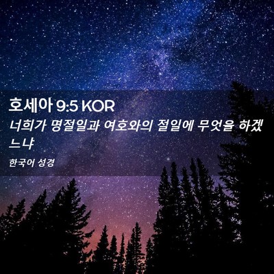 Picture 02 - 호세아 9:5 KOR - 너희가 명절일과 여호와의 절일에 - Bible Verse Picture