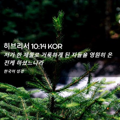 Picture 02 - 히브리서 10:14 KOR - 저가 한 제물로 거룩하게 된 자들을 - Bible Verse Picture