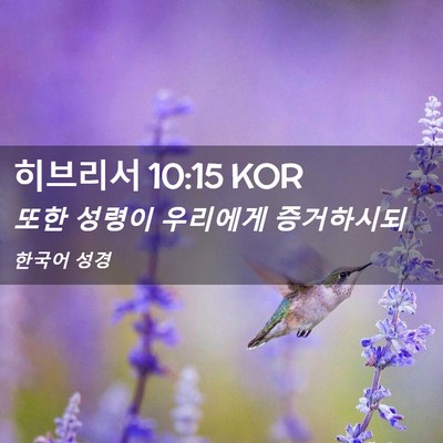 Picture 02 - 히브리서 10:15 KOR - 또한 성령이 우리에게 - Bible Verse Picture