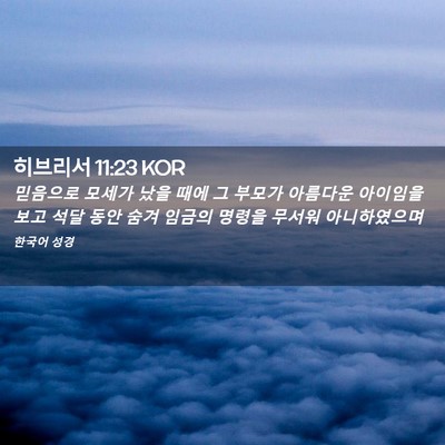 Picture 02 - 히브리서 11:23 KOR - 믿음으로 모세가 났을 때에 그 - Bible Verse Picture