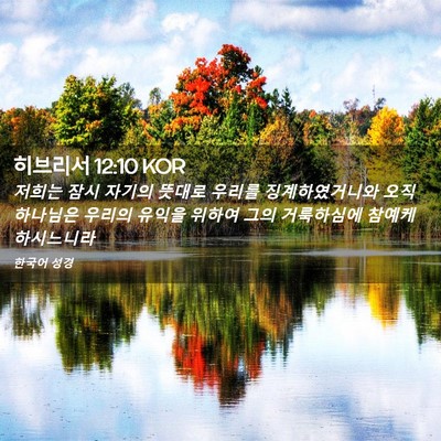 Picture 02 - 히브리서 12:10 KOR - 저희는 잠시 자기의 뜻대로 우리를 - Bible Verse Picture