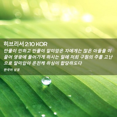 Picture 02 - 히브리서 2:10 KOR - 만물이 인하고 만물이 말미암은 - Bible Verse Picture