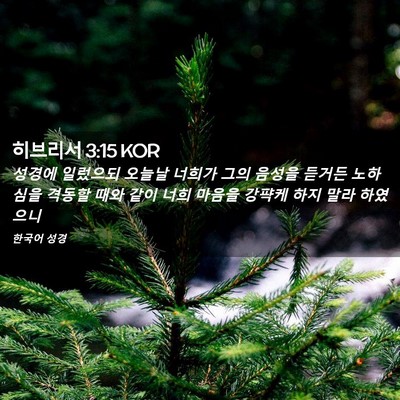 Picture 02 - 히브리서 3:15 KOR - 성경에 일렀으되 오늘날 너희가 그의 - Bible Verse Picture