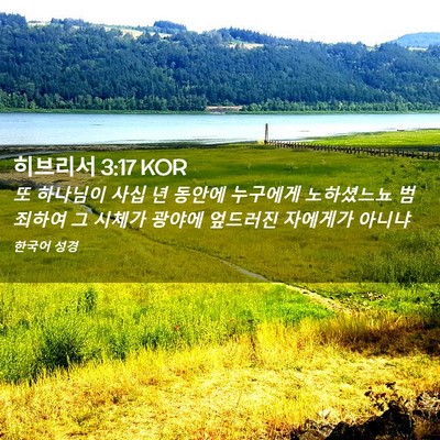 Picture 02 - 히브리서 3:17 KOR - 또 하나님이 사십 년 동안에 - Bible Verse Picture