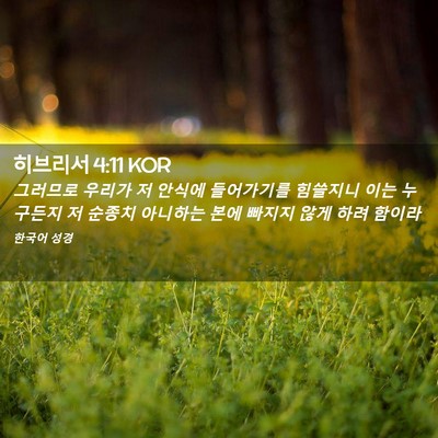 Picture 02 - 히브리서 4:11 KOR - 그러므로 우리가 저 안식에 - Bible Verse Picture