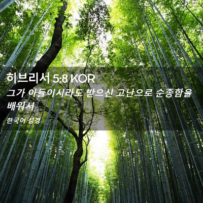 Picture 02 - 히브리서 5:8 KOR - 그가 아들이시라도 받으신 고난으로 - Bible Verse Picture