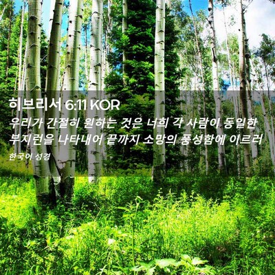 Picture 02 - 히브리서 6:11 KOR - 우리가 간절히 원하는 것은 너희 각 - Bible Verse Picture
