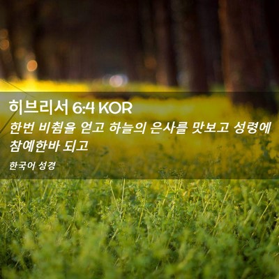 Picture 02 - 히브리서 6:4 KOR - 한번 비췸을 얻고 하늘의 은사를 - Bible Verse Picture