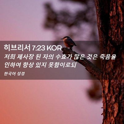 Picture 02 - 히브리서 7:23 KOR - 저희 제사장 된 자의 수효가 많은 - Bible Verse Picture