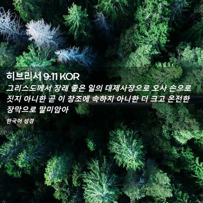 Picture 02 - 히브리서 9:11 KOR - 그리스도께서 장래 좋은 일의 - Bible Verse Picture